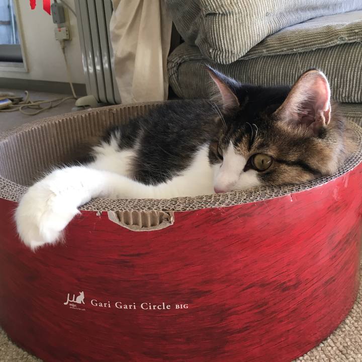 2d06f466 9083 4ae4 8b85 d75e5d2ee7b2 1510636314792