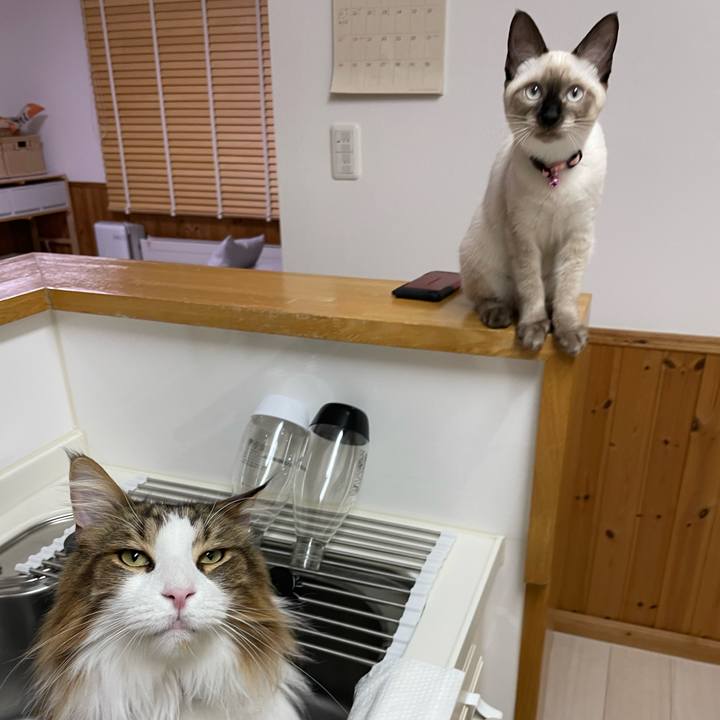 2d06f574 4707 4e20 bb69 6d4e118ac650 1694373715643