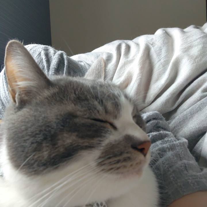 2d073750 090c 42b1 9f45 a60807340f6c 1679715371917