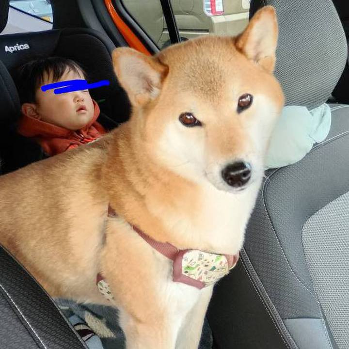 2d0741aa 6796 4418 b623 a61c15c6eaac 1769303329458