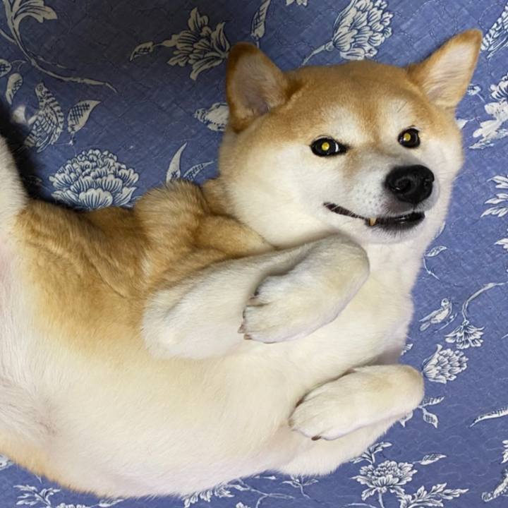 2d074798 a2b7 4b63 9a07 f38db75addb2 1619445364874