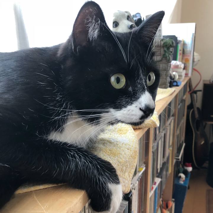 2d077cf8 4073 4915 a099 2e7699cddf87 1524376285064