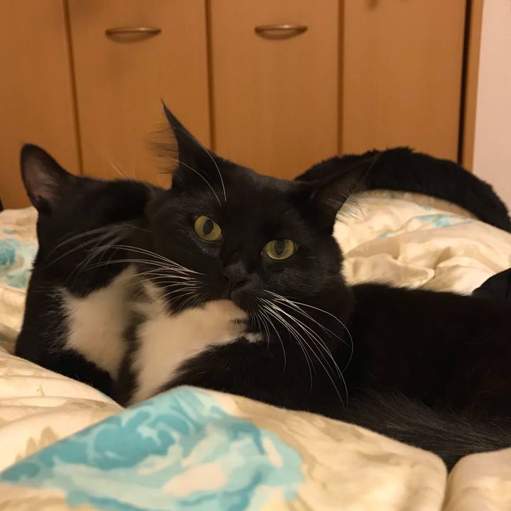 2d078f2b 39d2 4a3d bc7a 27dd4d7759bb 1540043870201