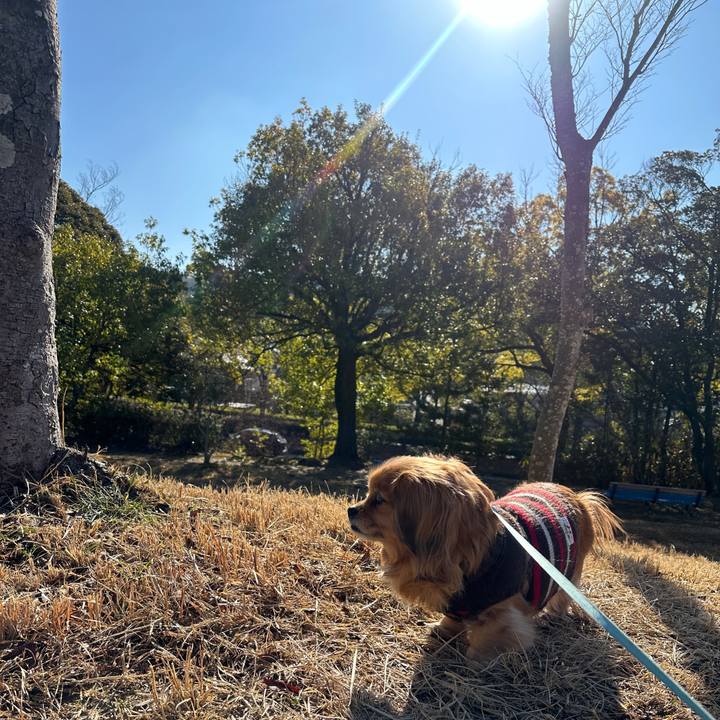 2d07b44c b908 440d 99a1 1c371c74f841 1707623219757