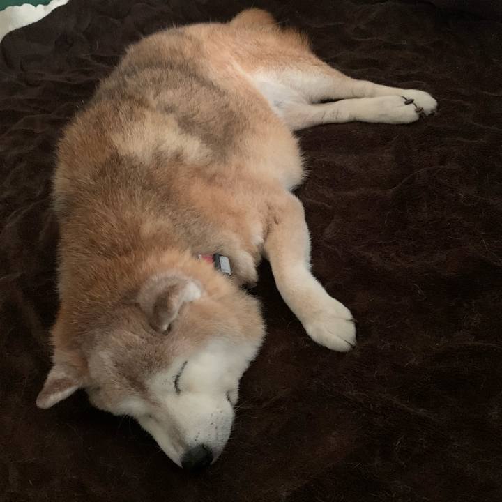 2d07d916 1c05 459e 99ae ea9c133a689d 1693305873960