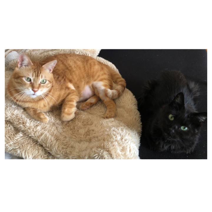 2d07f7aa ed77 40ab b26f 00ce37c13c27 1631427334114