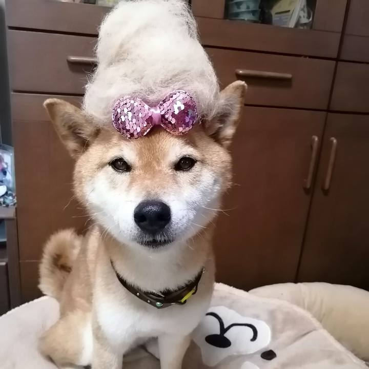 2d08303d b1a8 477a 8bcb 4676933801b9 1589937189701