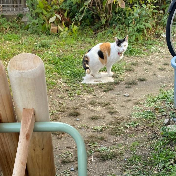 2d084252 4373 4e95 8beb 28fc6238dff5 1639232669109