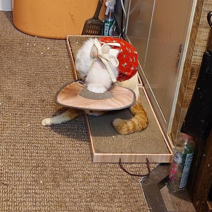 2d084c5d ad04 410a a6c8 55a9b267c025 1767089636255