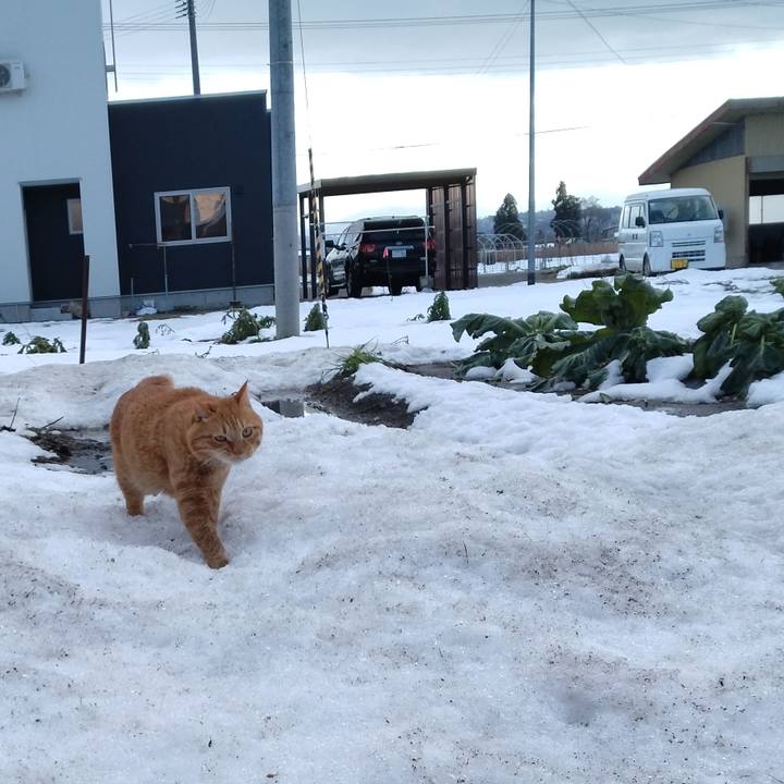 2d08666b d45c 40e7 93b5 f01030e2c409 1703656446186