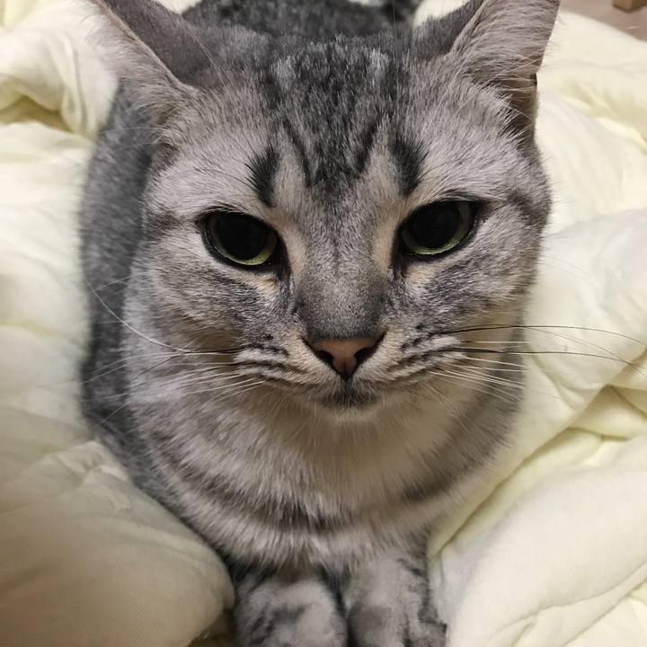 2d0889b8 413e 4e98 98bb b0227a0f8cf9 1508365029794