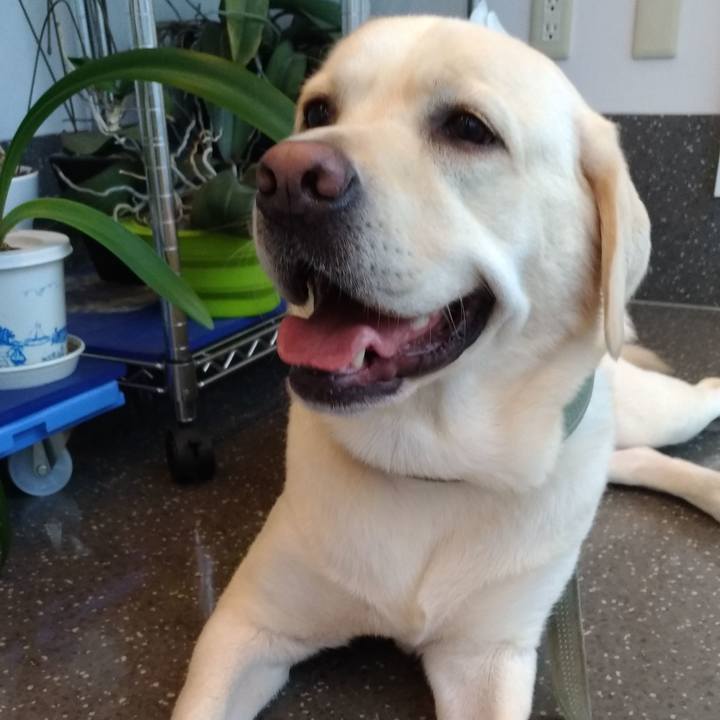 2d08916c 1f44 4cdb 8ff3 0bd93a4cb5af 1535787094560