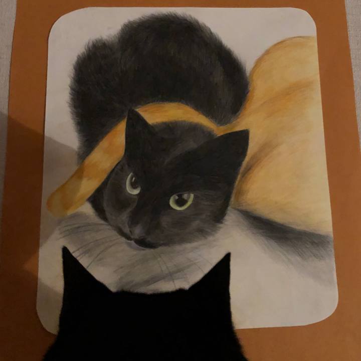 2d0898f8 f8b1 4caf a85d ee854522d84b 1675804672501