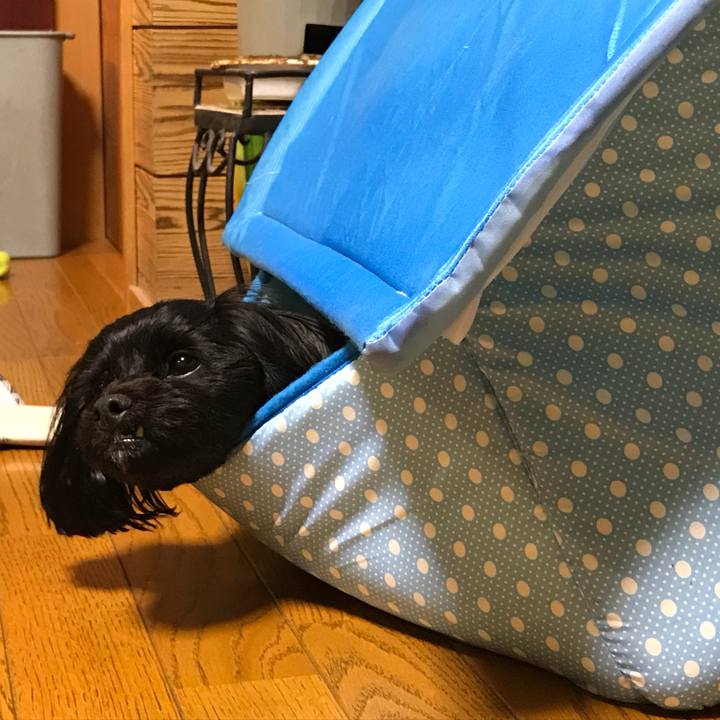 2d09156e d89d 4fee 818d cf650a3fb7cf 1508159093453