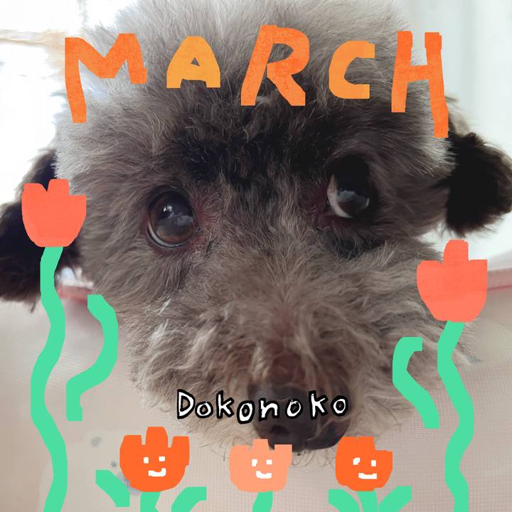 2d091c11 043b 43de 9cd6 945b9d3260de 1741076671680