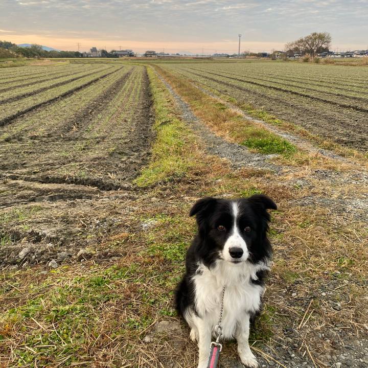 2d093b92 250c 4d75 99ab 198e5005d857 1607553518491