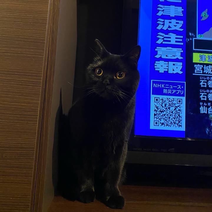 2d09994b ff2c 41db 8e27 3b117995339c 1616234687094