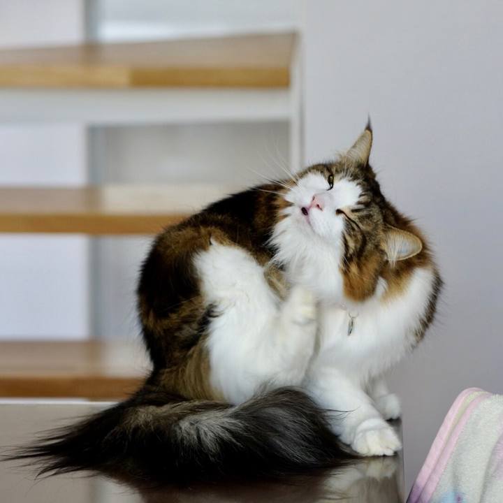 2d09ef0e 3eff 43f4 9d9f f911848d7500 1548300803665