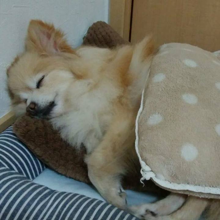 2d0a13ec 9c04 486b b95b c49e50942546 1552779635135