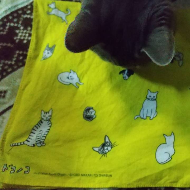 2d0a2162 8b5e 4c5d b29d decb47803f40 1678791801010