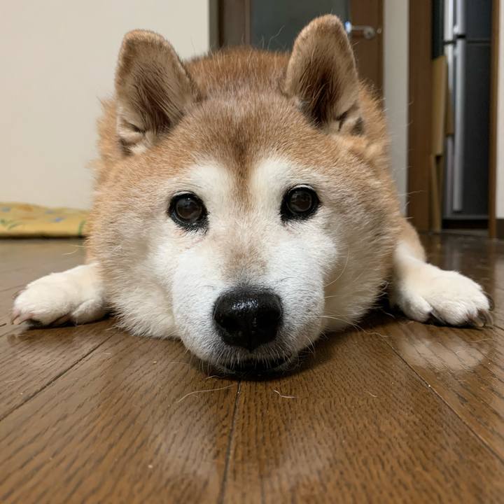 2d0a3539 75a4 4254 b513 9037714936a0 1600176594157