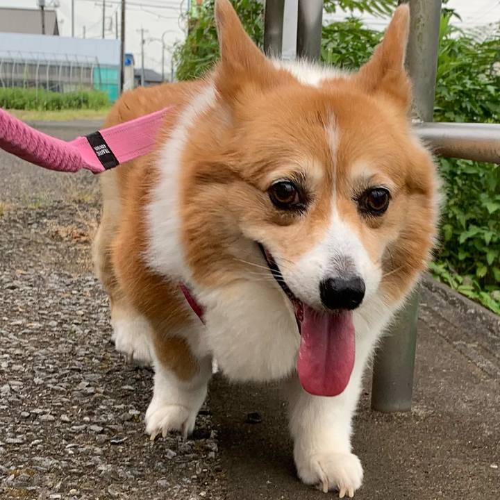 2d0a7513 8809 4fa2 8614 651a113f8d35 1723512790605