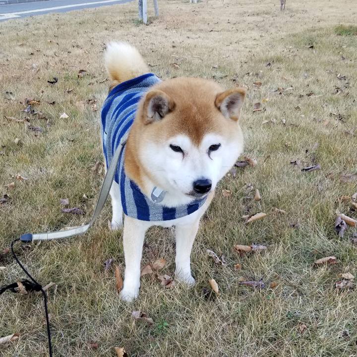 2d0a7e1f 6b6d 49d1 a5de 1a26c66725ba 1575870800050