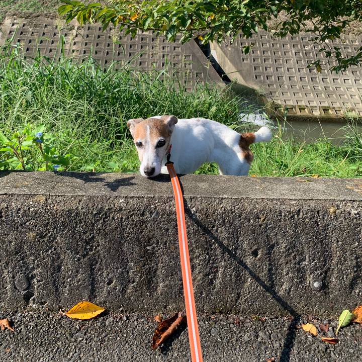 2d0aaf8d 8b2e 4a80 a05f 5c1c914961c2 1632534551680