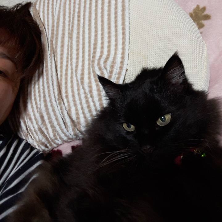 2d0af169 3001 4462 b6e6 6a035a261cd4 1521896922722