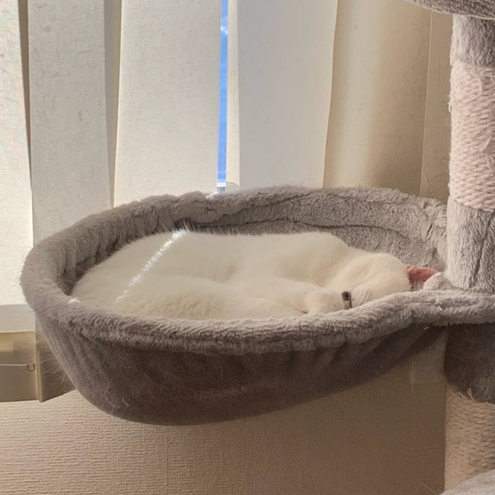 2d0b0cd1 7479 44eb 9f2b cd796a59e49e 1766494318309