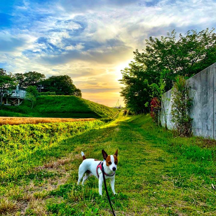 2d0b46bb 0c54 482e a676 1f6099c8e8e8 1559124741011