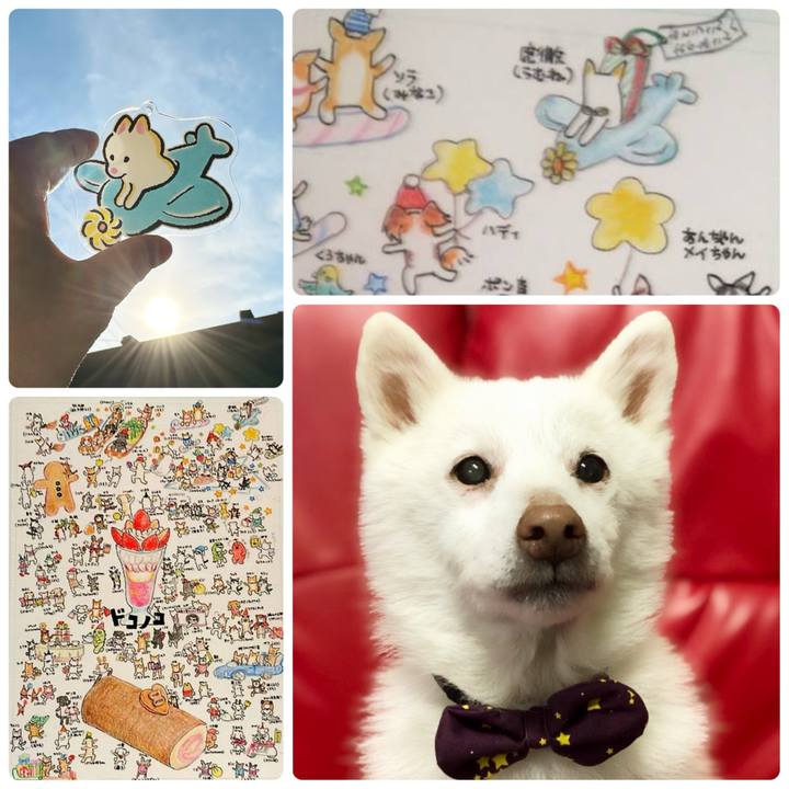 2d0b5464 a791 43f5 b8d8 72617ef30474 1735435482721