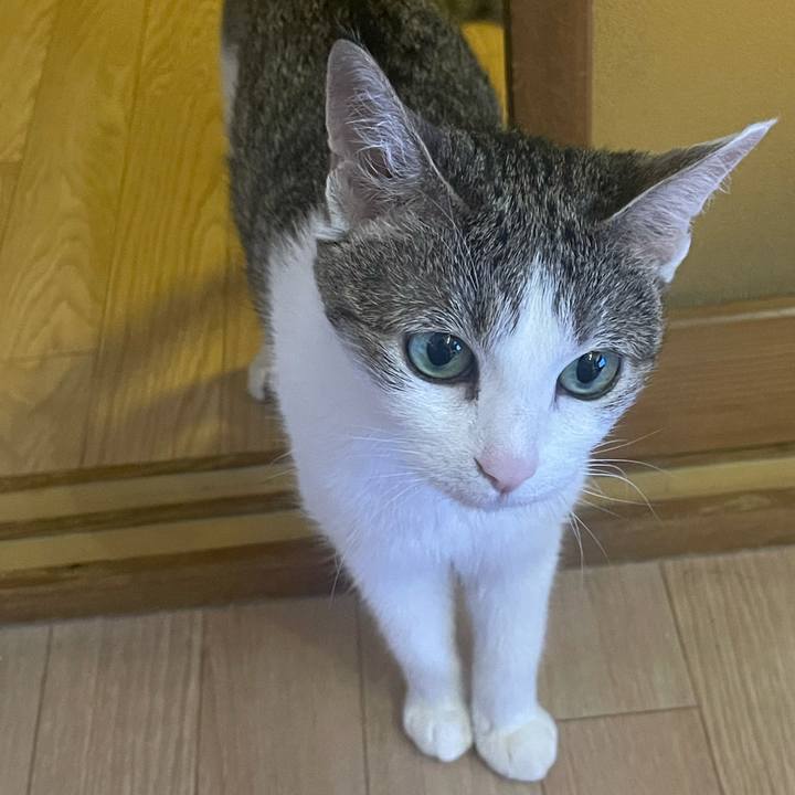 2d0b6746 4df4 486a b689 c367e0633a79 1624967514720