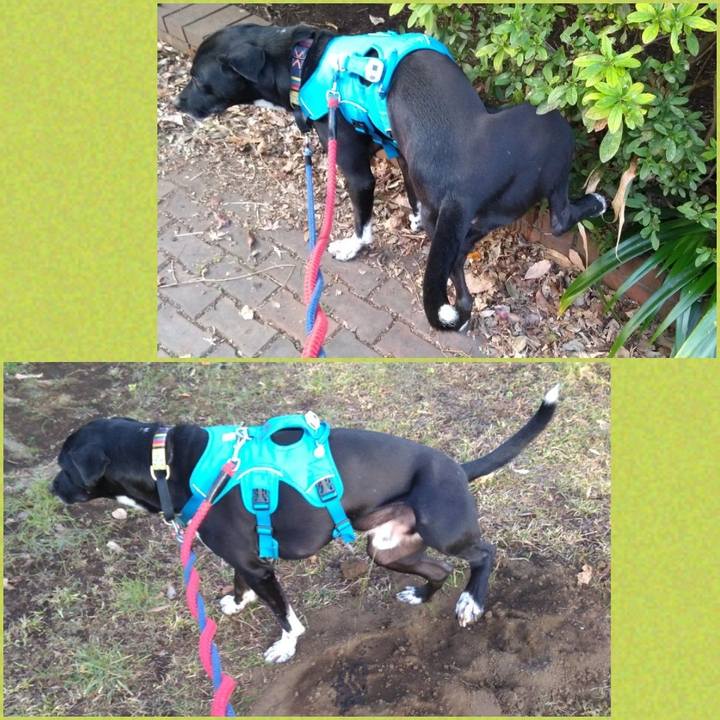 2d0bea76 6eab 447e a705 8053ba73cdb5 1613174506694