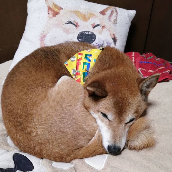 2d0bf240 7b89 4ad7 bbd6 b1996c78649a 1635250188251