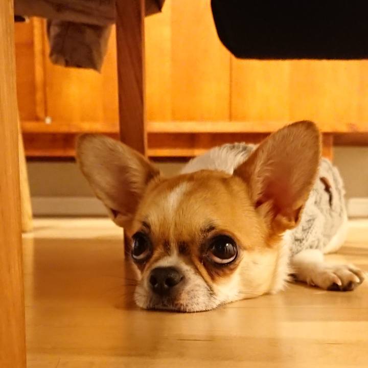 2d0bf2a5 e952 46f6 9ab7 faf24fa0cd8c 1550401750807