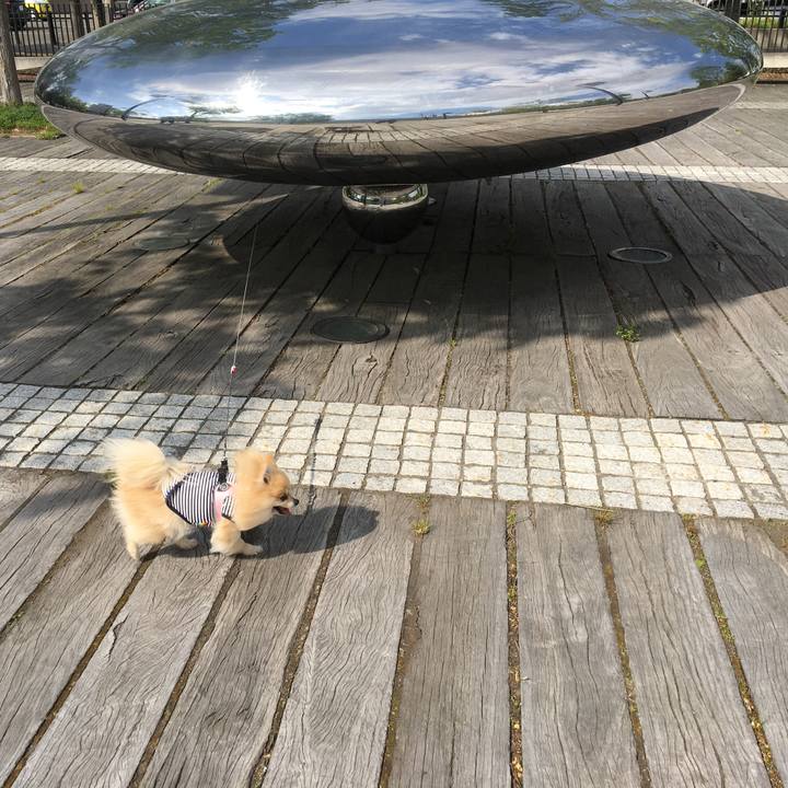 2d0c07b6 3cd0 4116 becf a609429ac241 1527676180469