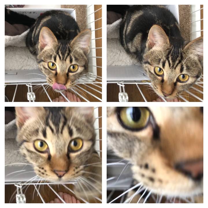 2d0c25ee 3755 4980 afdf b668ccefc2b3 1736314700533