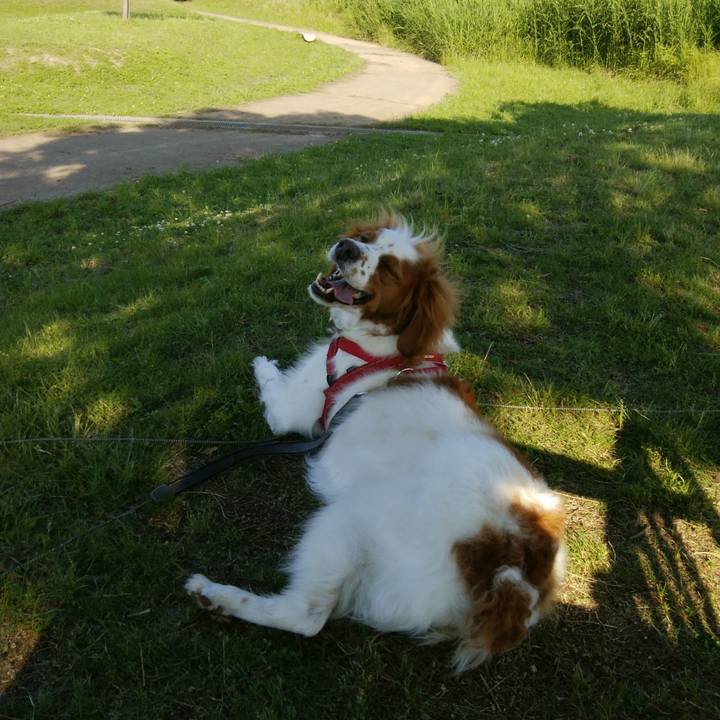 2d0c751e 7459 4f6a 9ff7 63d765c072de 1527939879457