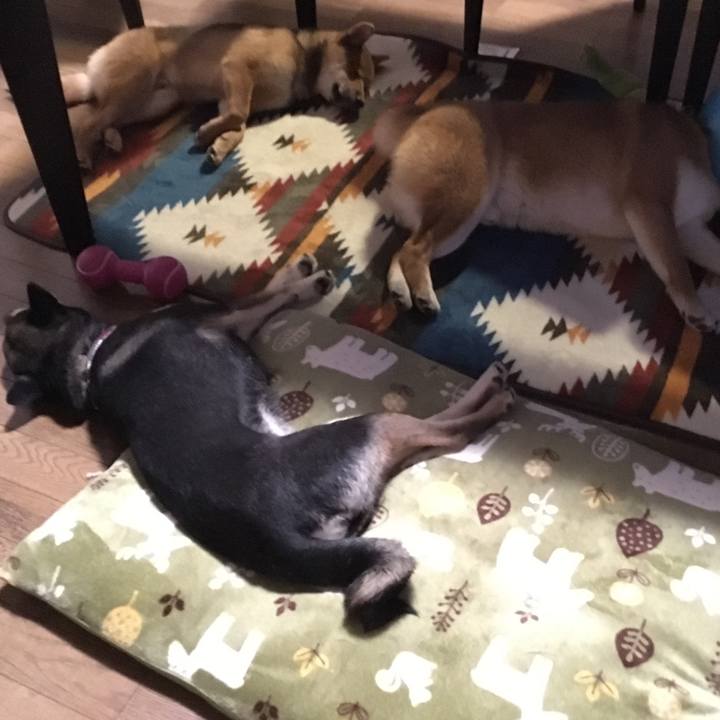 2d0c94c9 08de 49af b3ae 0c7fb344b01c 1512300848017