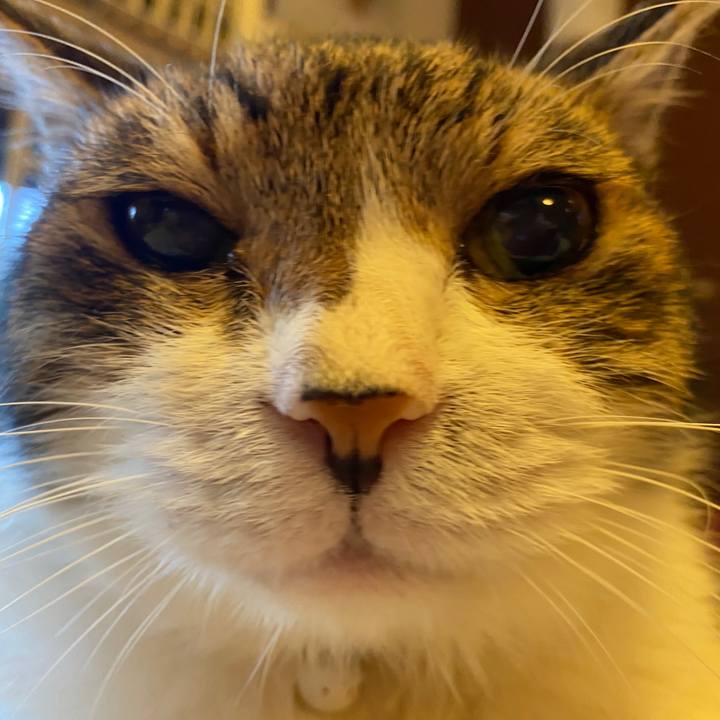 2d0ca466 0f5a 4a23 b356 e3273e030e30 1631361034424