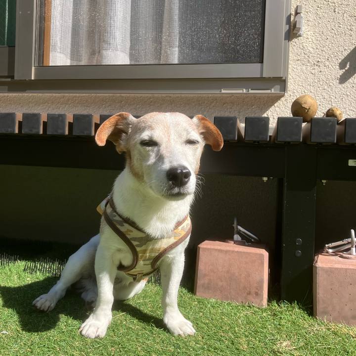 2d0cd82a c5af 47e8 91cb 3bac212c5624 1760663700678