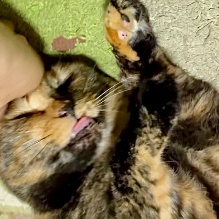 2d0ce657 9959 401c 8b42 afa0ad9285b3 1754736073954