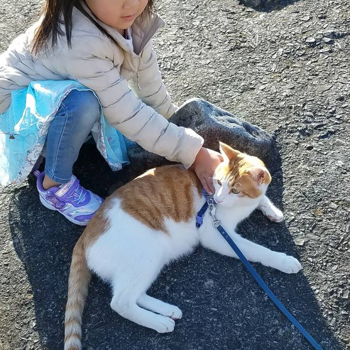 2d0d0609 7271 4acd 9f53 ee04ebf9934e 1512288682578