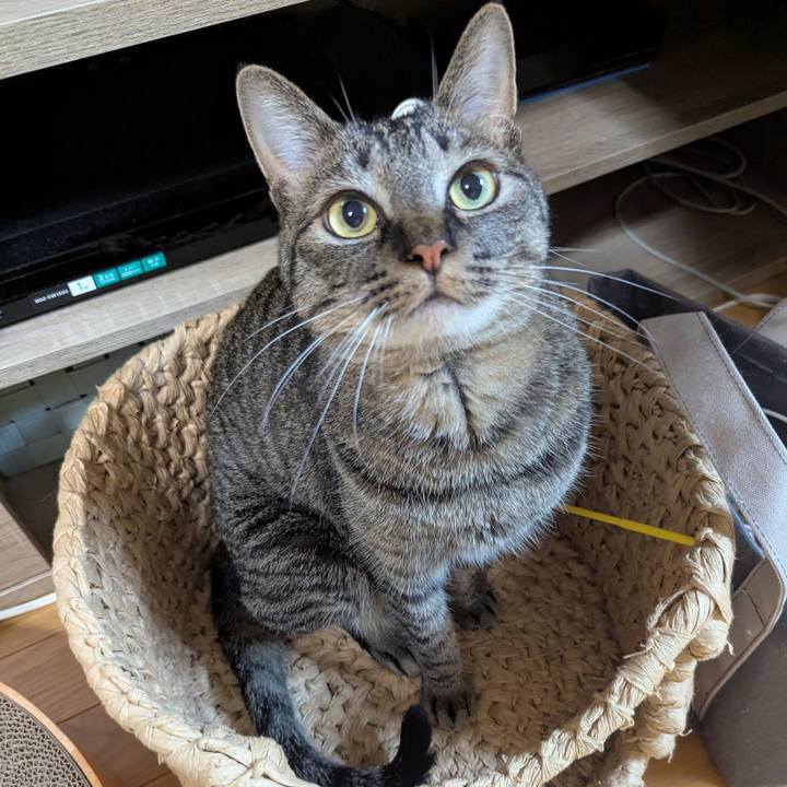 2d0d12b4 e338 4091 b795 2ac0b054891c 1746181624363