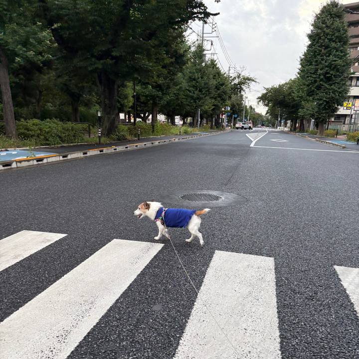 2d0d35b2 02ab 4178 8d20 3f7da4516685 1754096119102