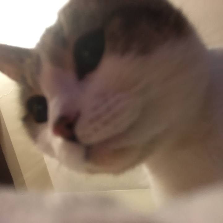 2d0d6940 3a0f 41e7 b68a a047e3b469b2 1633046645309