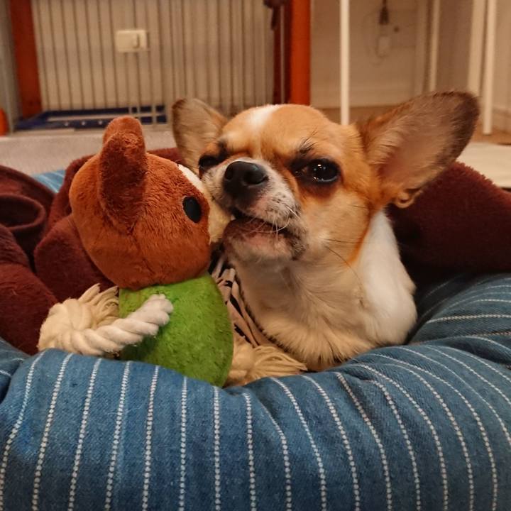 2d0d6dba 192a 45ed bbf3 16cb2aabedb1 1541751216184