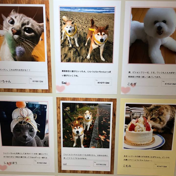 2d0de77b ebe1 4821 a528 642d89424fde 1539583663776