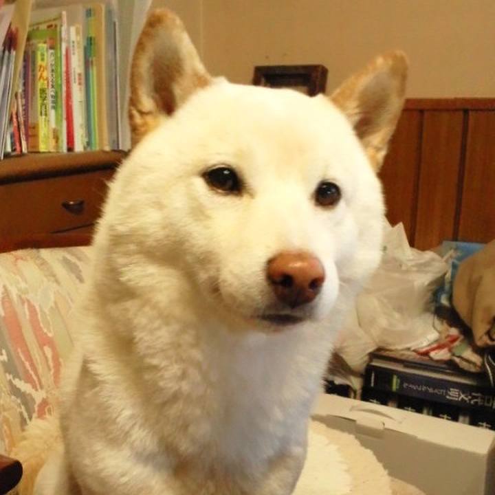 2d0df148 249d 4e00 b1d8 d216003cc1ea 1650730897892